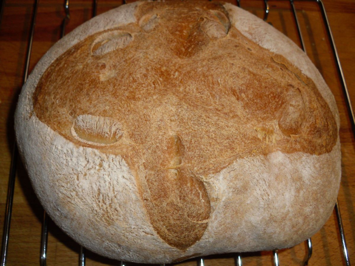 Name:  Bread 2.JPG
Views: 160
Size:  178.0 KB