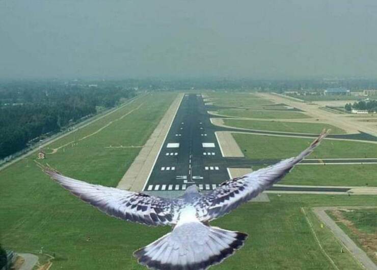 Name:  Landing.jpg
Views: 65
Size:  38.3 KB