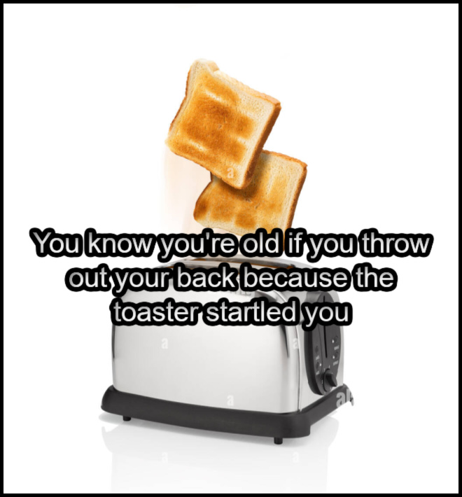 Name:  Toaster (1).jpg
Views: 53
Size:  98.7 KB