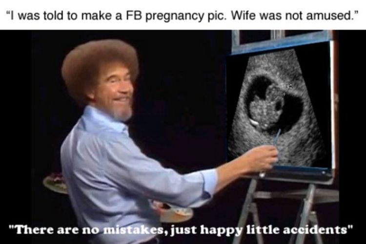 Name:  BobRoss_Pregnancy.jpg
Views: 51
Size:  40.4 KB