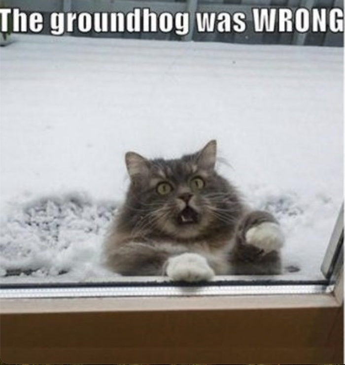 Name:  Groundhog was wrong.jpg
Views: 499
Size:  103.9 KB