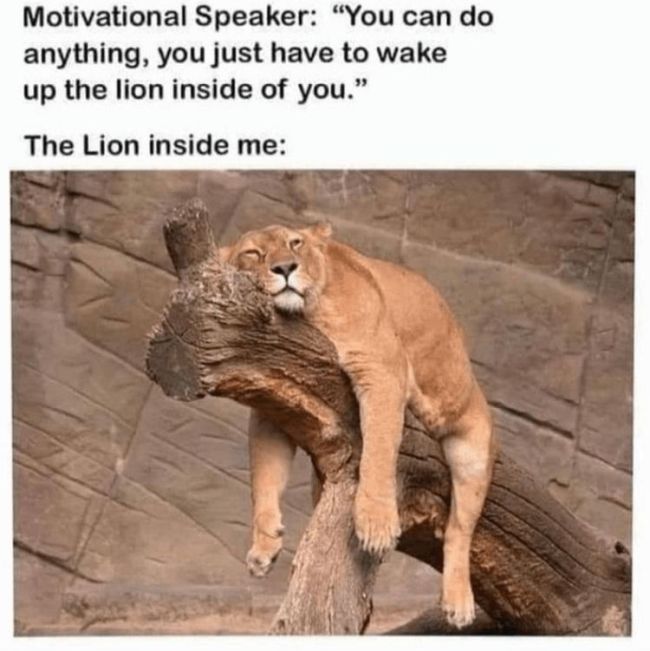 Name:  Lion_Motivation.jpg
Views: 410
Size:  58.0 KB