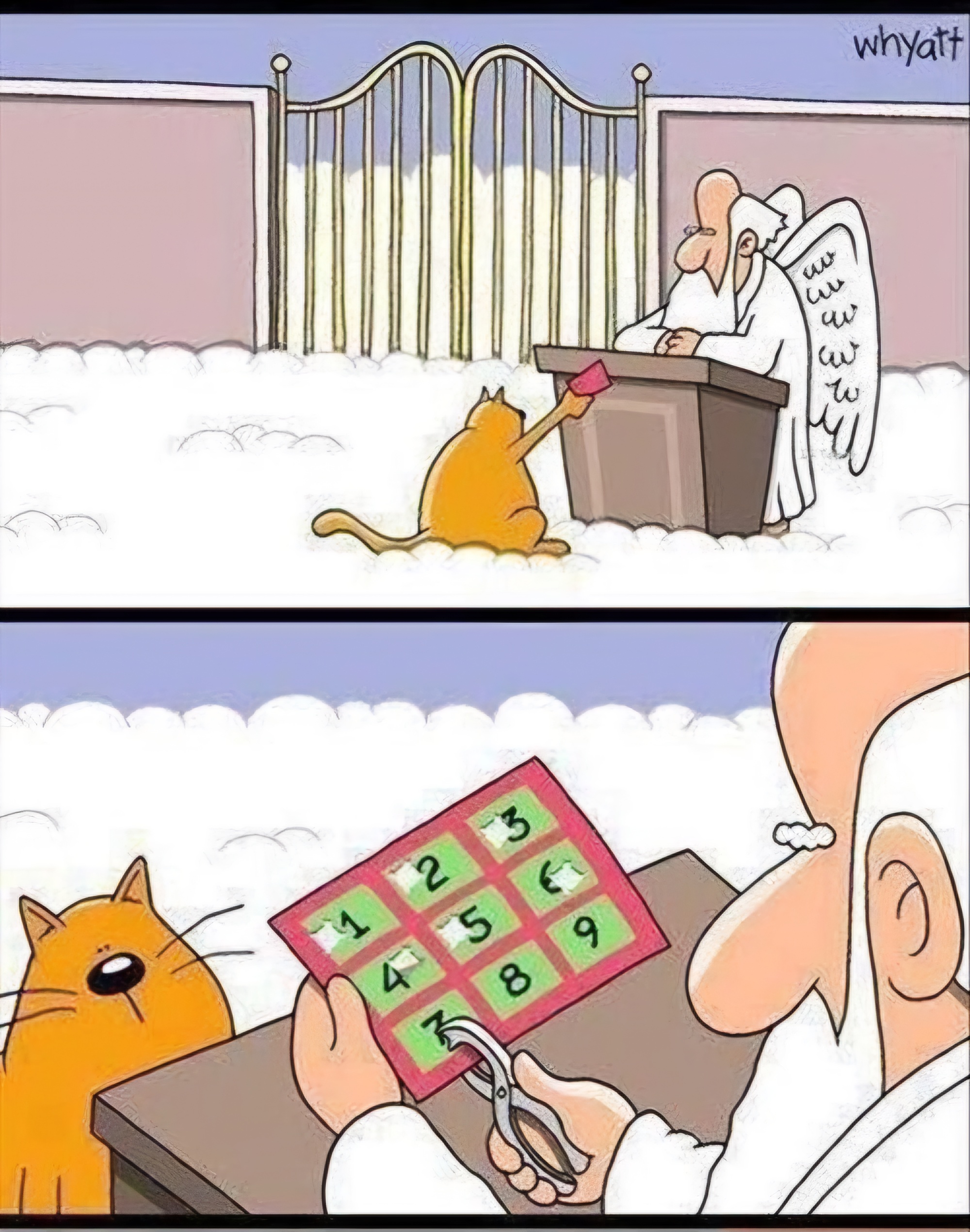 Name:  Cat_Heaven.jpeg
Views: 337
Size:  1.00 MB