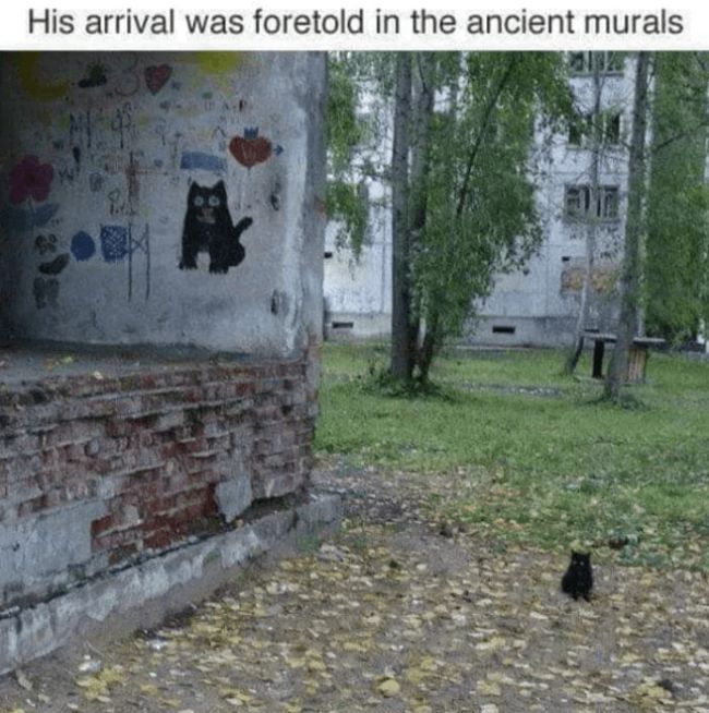 Name:  Cat_Ancient_Murals.jpg
Views: 520
Size:  81.2 KB