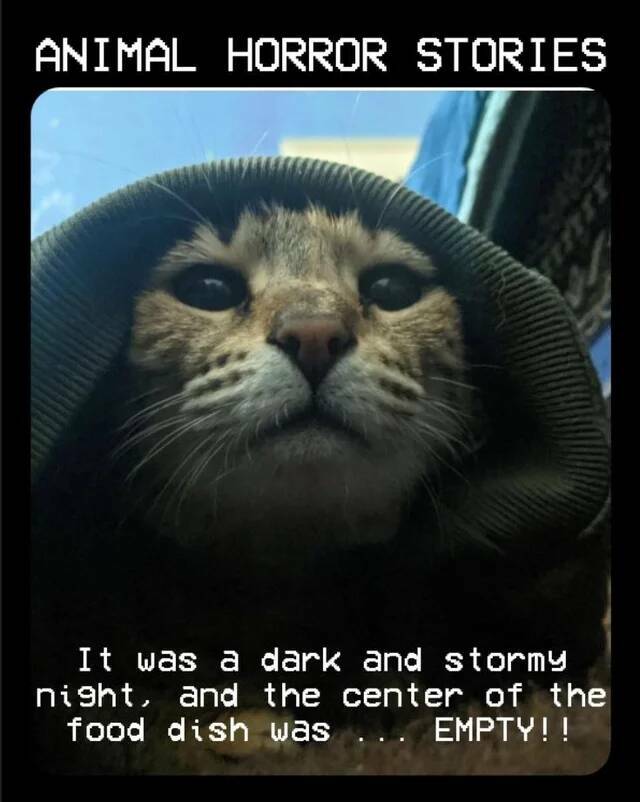 Name:  Story.jpg
Views: 177
Size:  49.4 KB