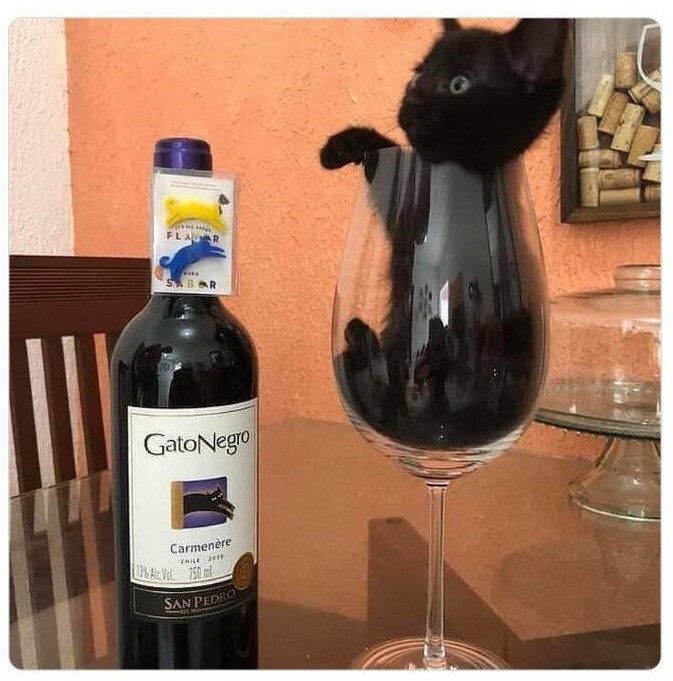 Name:  Gato negro.jpg
Views: 643
Size:  98.6 KB
