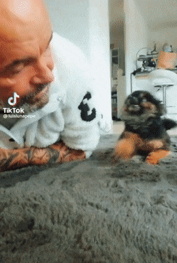 Name:  Puppy..gif
Views: 65
Size:  3.99 MB