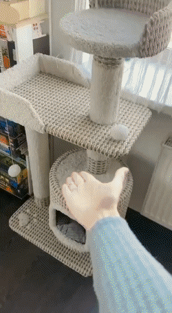 Name:  Cat.gif
Views: 112
Size:  4.09 MB