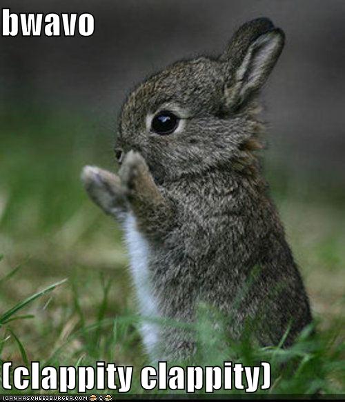 Name:  funny-pictures-bravo-bunny.jpg
Views: 1067
Size:  44.8 KB