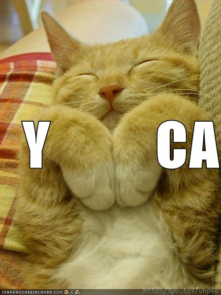 Name:  funny-pictures-ymca-cat.jpg
Views: 847
Size:  43.3 KB