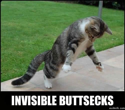 Name:  Invisible_buttsecks.jpg
Views: 24836
Size:  35.0 KB