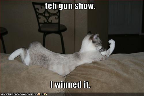 Name:  funny-pictures-cat-won-gun-show.jpg
Views: 3427
Size:  20.7 KB