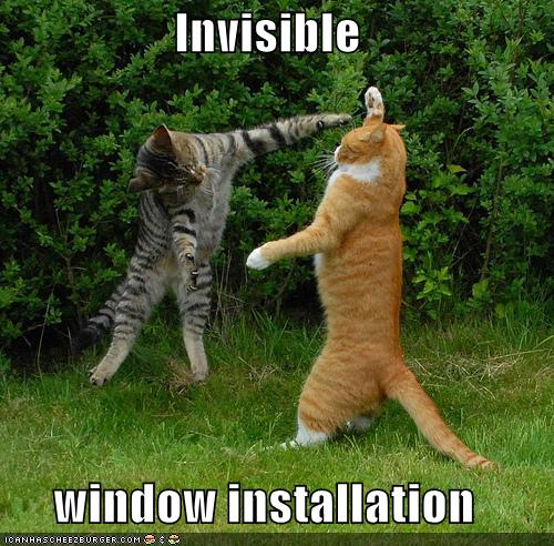 Name:  Cat-install-invisible-windows.jpg
Views: 3485
Size:  67.1 KB