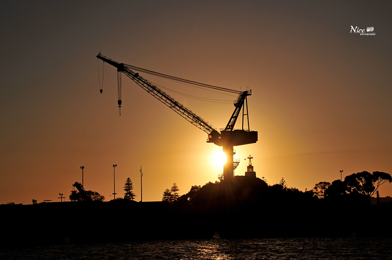 Name:  California Crane.jpg
Views: 627
Size:  283.0 KB