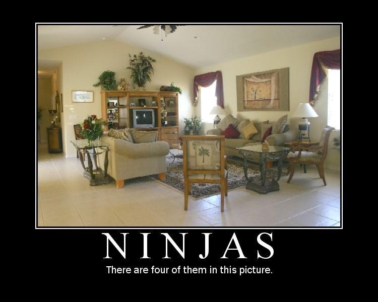 Name:  ninjas.jpg
Views: 423
Size:  43.3 KB