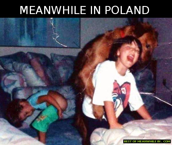 Name:  meanwhile-in-poland-two-kids-and-dog.jpg
Views: 2374
Size:  80.1 KB