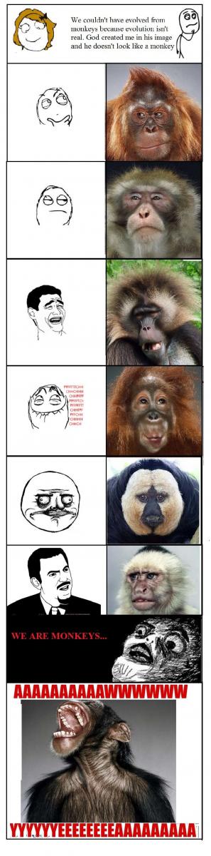 Name:  monkeys.jpg
Views: 1704
Size:  66.2 KB