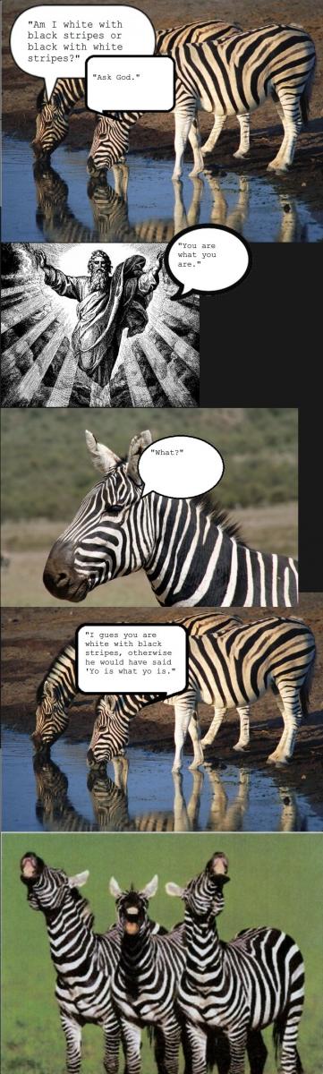 Name:  zebra.jpg
Views: 3351
Size:  98.3 KB