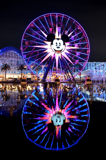 Name:  Mickey upright Reflection.JPG
Views: 1191
Size:  281.0 KB