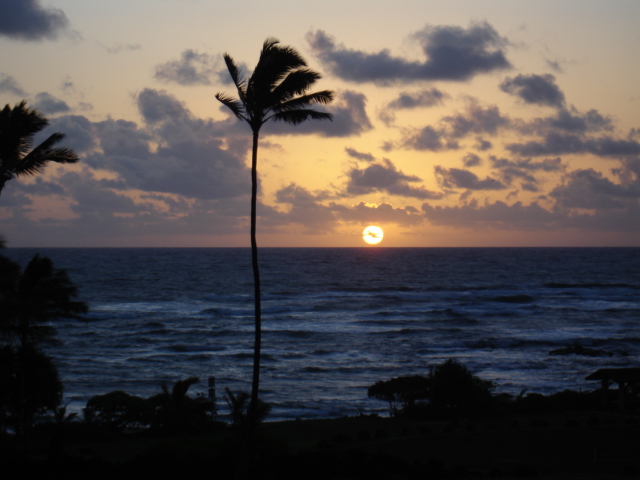 Name:  Kauai,Hawaii 082.jpg
Views: 645
Size:  140.0 KB