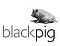 Black Pig